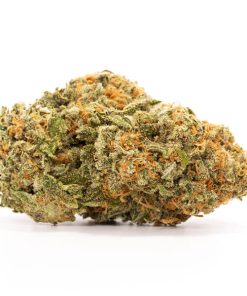 Cherry Pie Strain