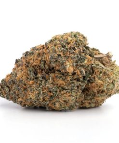 GOD Bud Strain